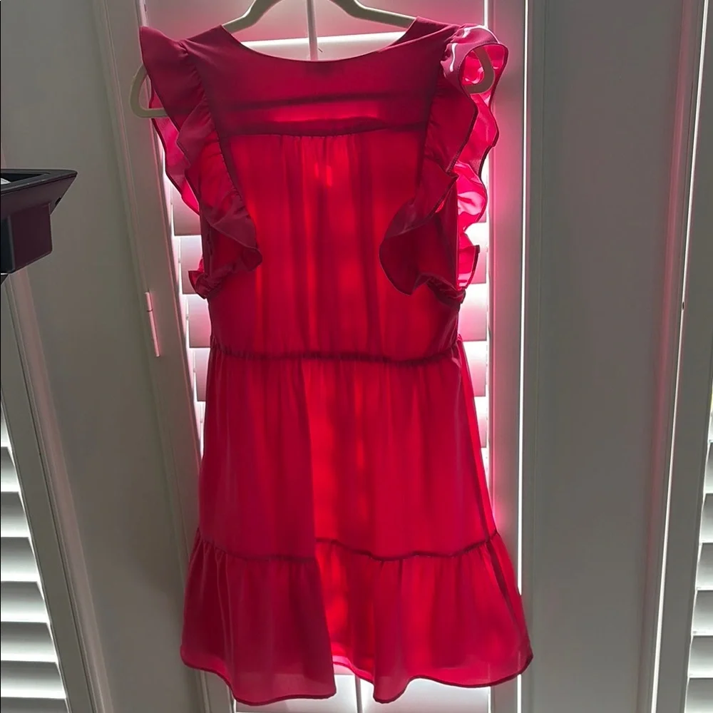 Pink Ruffled Dress - Picture 4 of 4